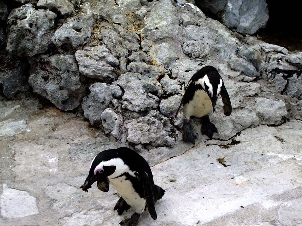 Foto de Santander (Cantabria), España