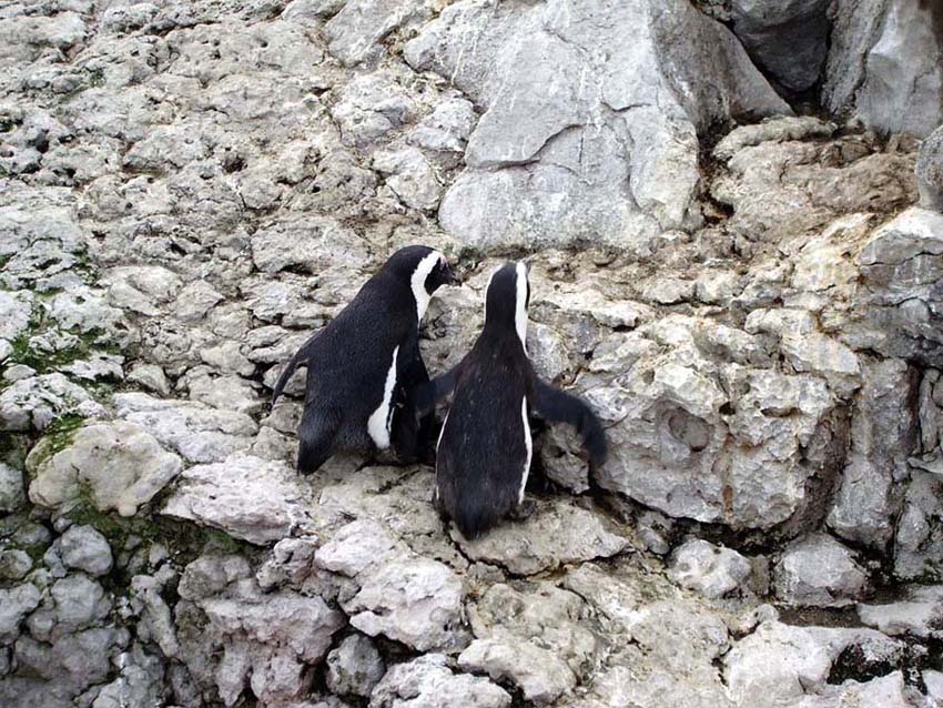 Foto de Santander (Cantabria), España