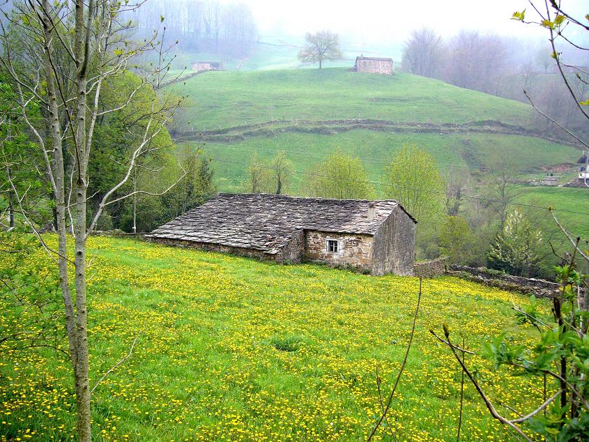 Foto de Vega de Pas (Cantabria), España