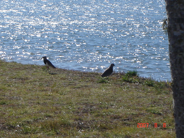 Foto de Concordia, Entre Ríos, Argentina