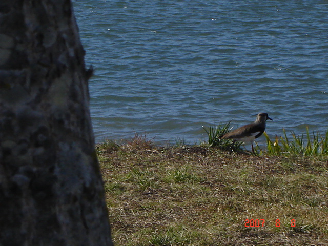 Foto de Concordia, Entre Ríos, Argentina