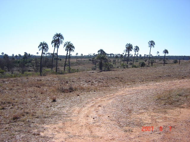 Foto de Colón, Entre Ríos, Argentina