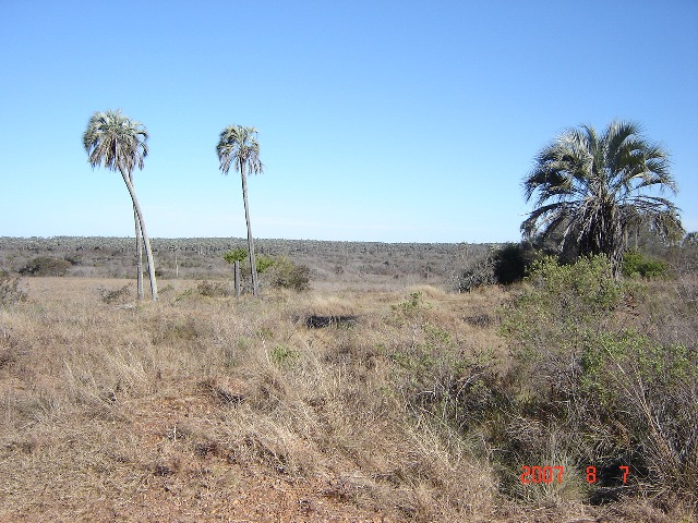 Foto de Colón, Entre Ríos, Argentina
