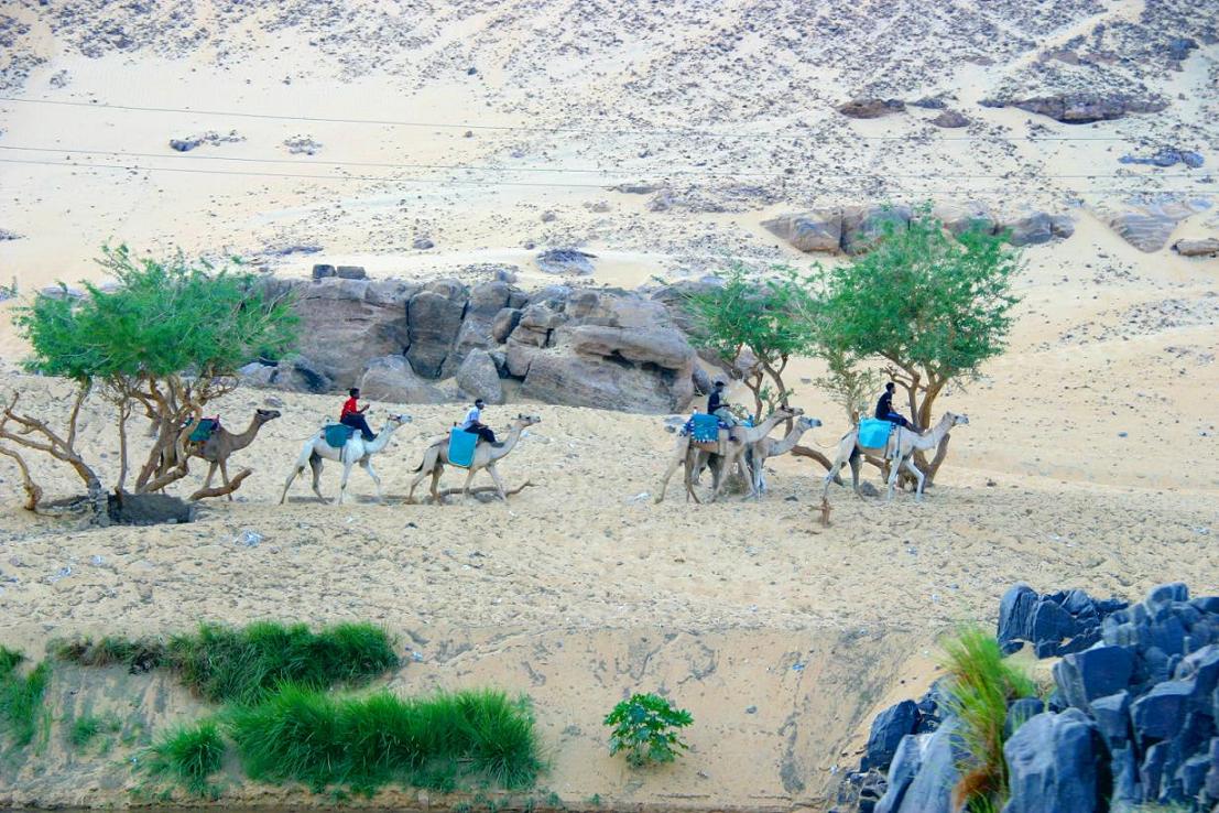 Foto de Aswan, Egipto