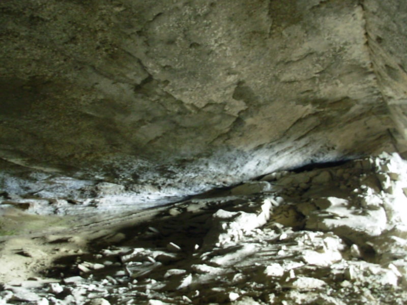 Foto de Puerto Natales, Chile