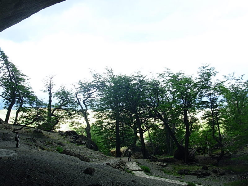 Foto de Puerto Natales, Chile
