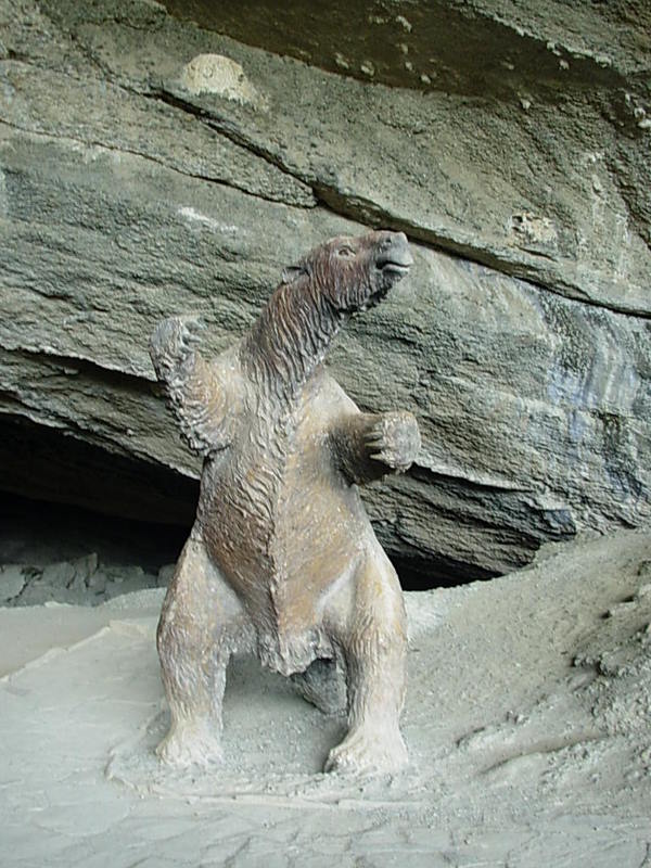 Foto de Puerto Natales, Chile