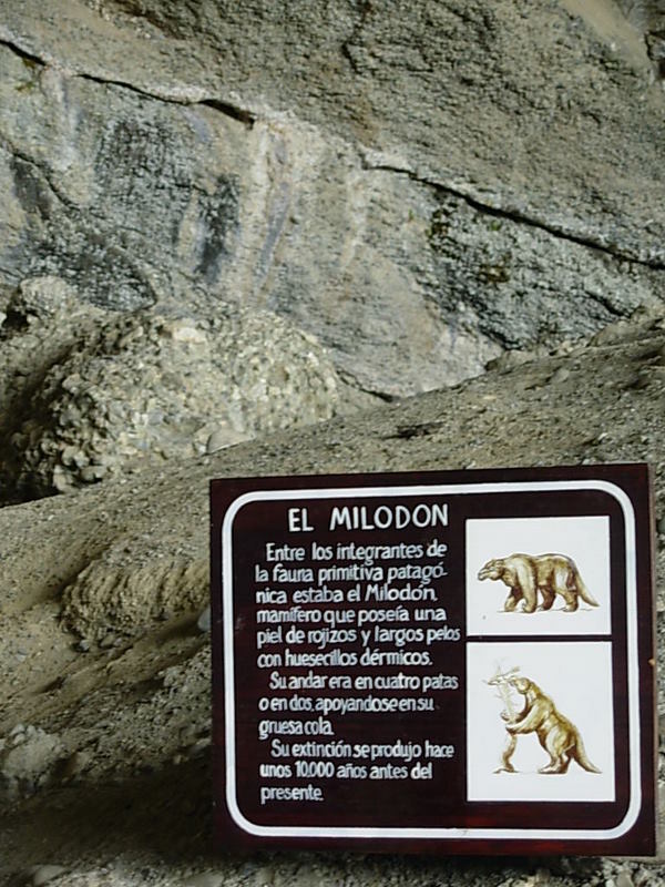 Foto de Puerto Natales, Chile