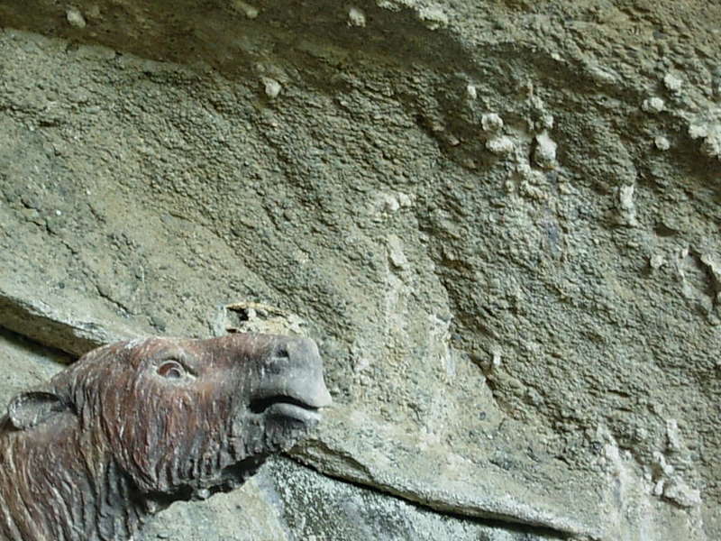 Foto de Puerto Natales, Chile