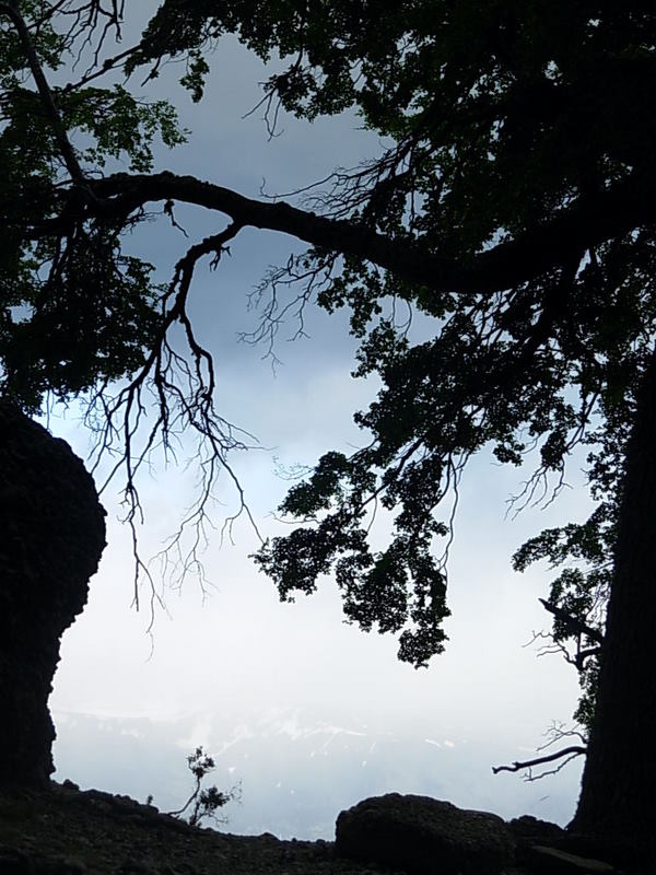 Foto de Puerto Natales, Chile