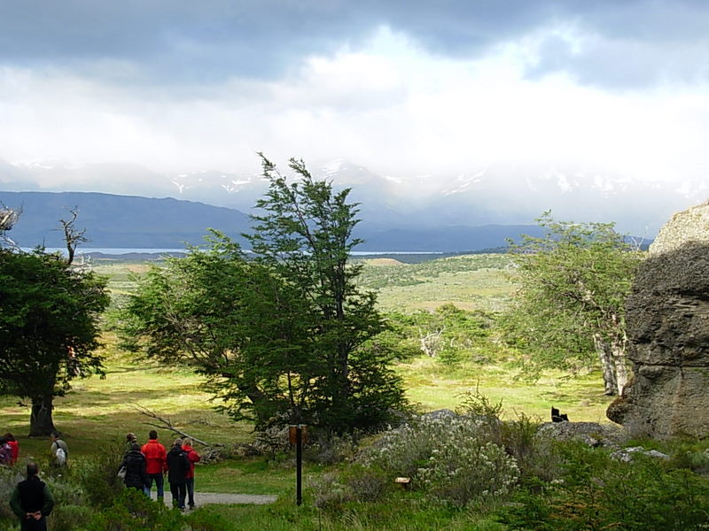 Foto de Puerto Natales, Chile
