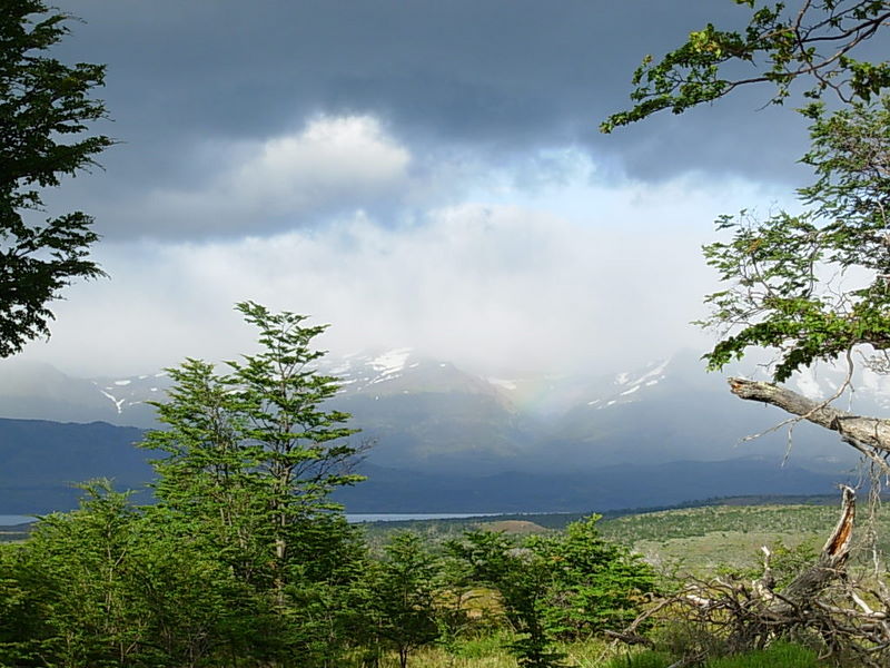 Foto de Puerto Natales, Chile
