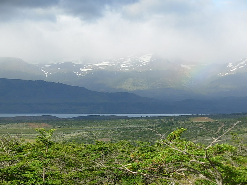 Foto de Puerto Natales, Chile