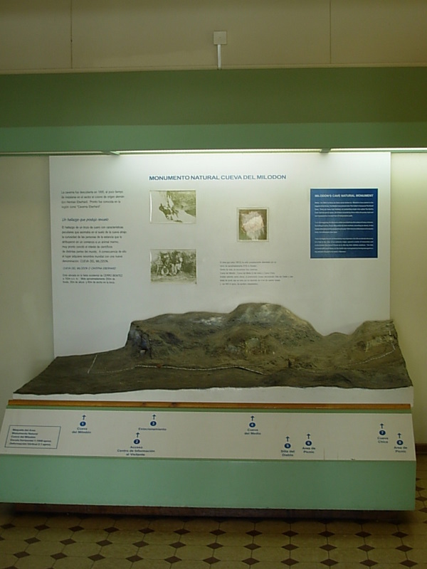 Foto de Puerto Natales, Chile