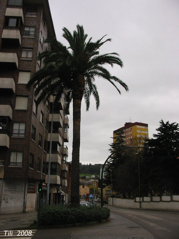 Foto de Avilés (Asturias), España