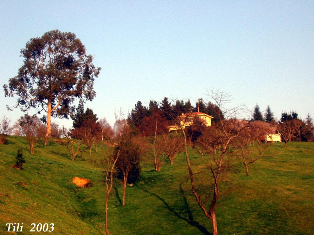Foto de Oviedo (Asturias), España