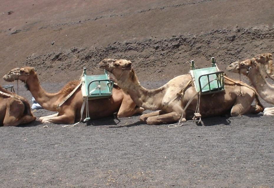 Foto de Lanzarote (Las Palmas), España