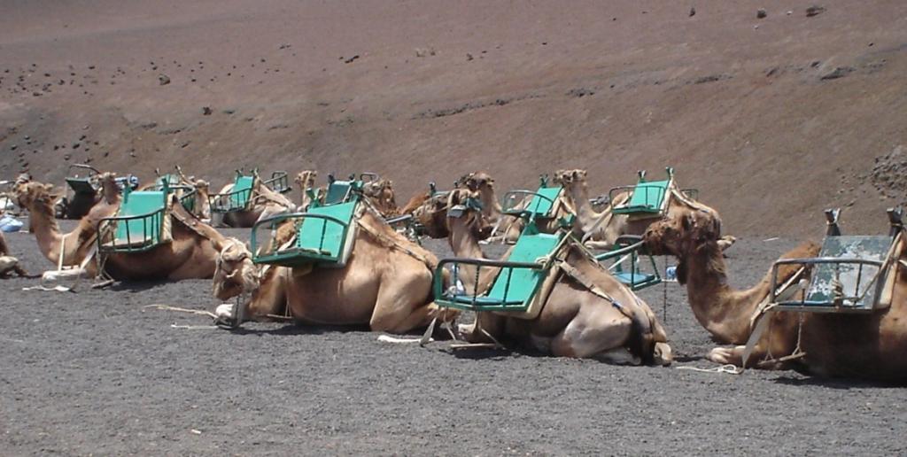 Foto de Lanzarote (Las Palmas), España