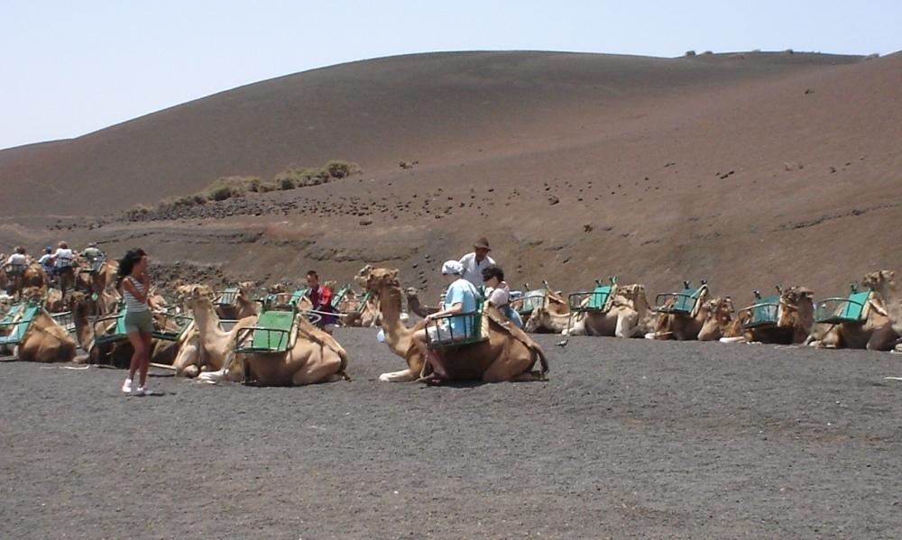Foto de Lanzarote (Las Palmas), España