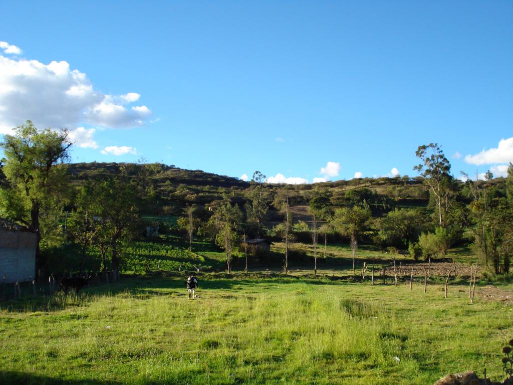 Foto de Cajamarca, Perú