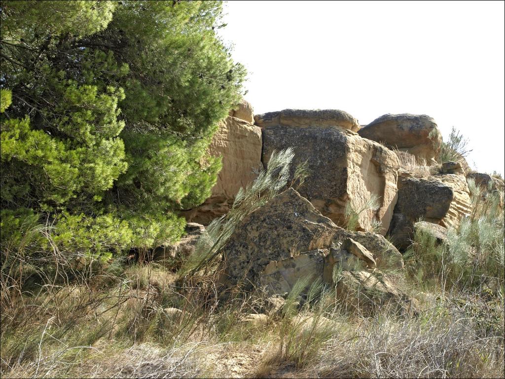 Foto de Alberuela de Tubo (Huesca), España