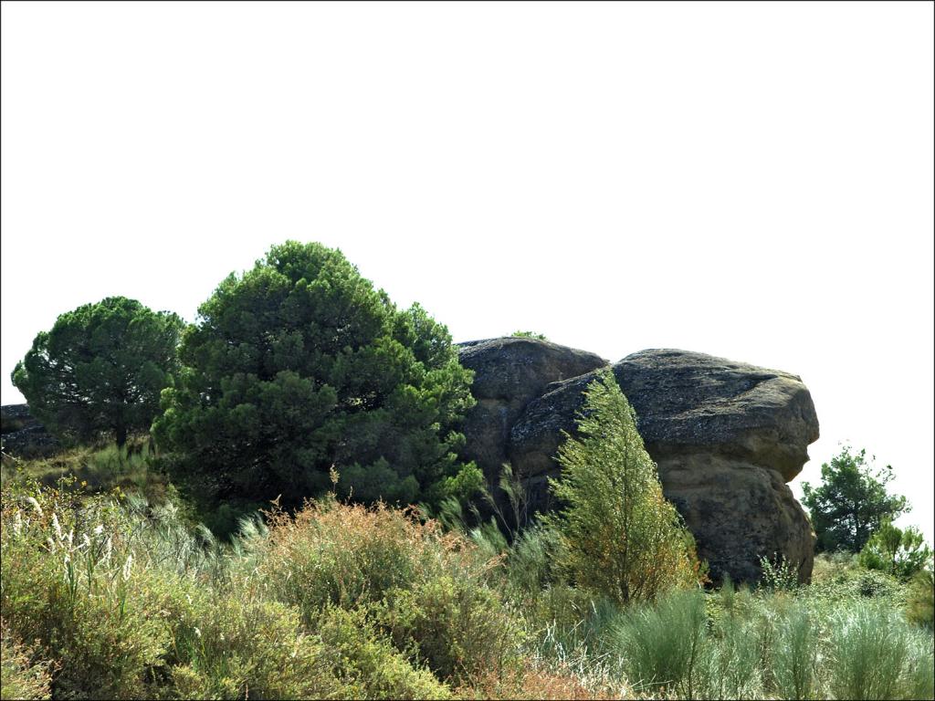 Foto de Alberuela de Tubo (Huesca), España
