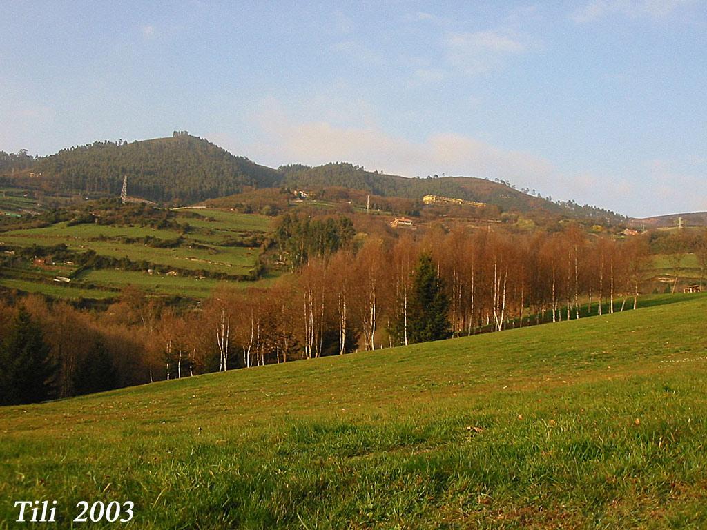 Foto de Oviedo (Asturias), España