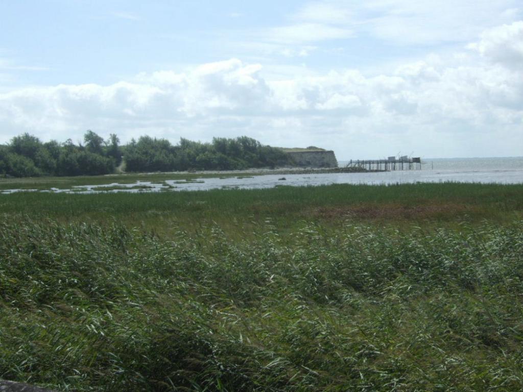 Foto de Talmont sur gironde, Francia
