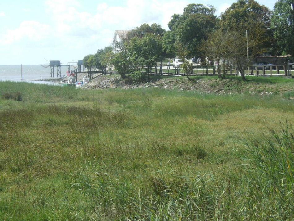 Foto de Talmont sur gironde, Francia