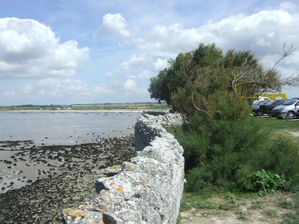 Foto de Talmont sur Gironde, Francia