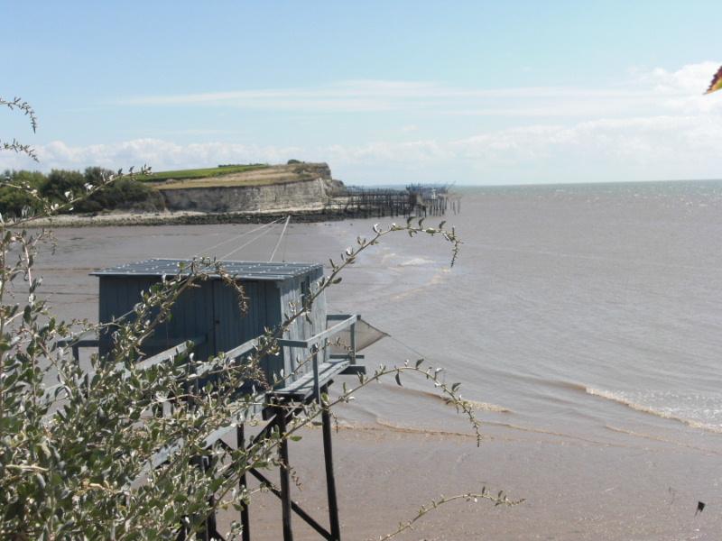 Foto de Talmont sur Gironde, Francia