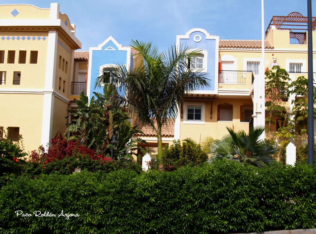 Foto de Los Cristianos (Arona) (Santa Cruz de Tenerife), España