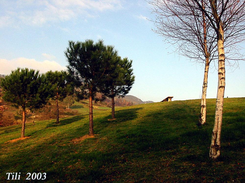Foto de Oviedo (Asturias), España