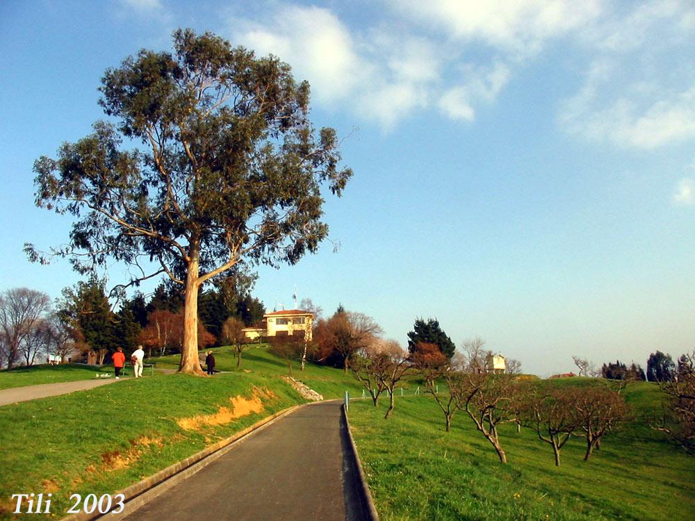 Foto de Oviedo (Asturias), España