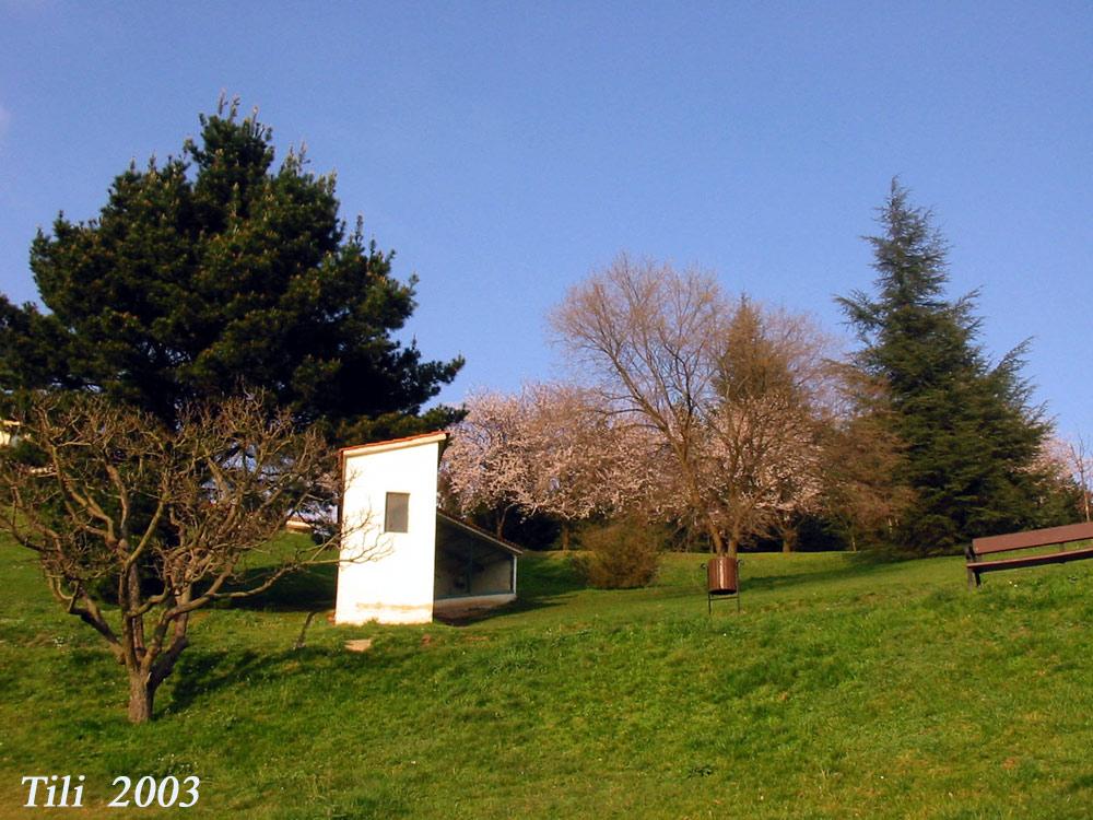 Foto de Oviedo (Asturias), España