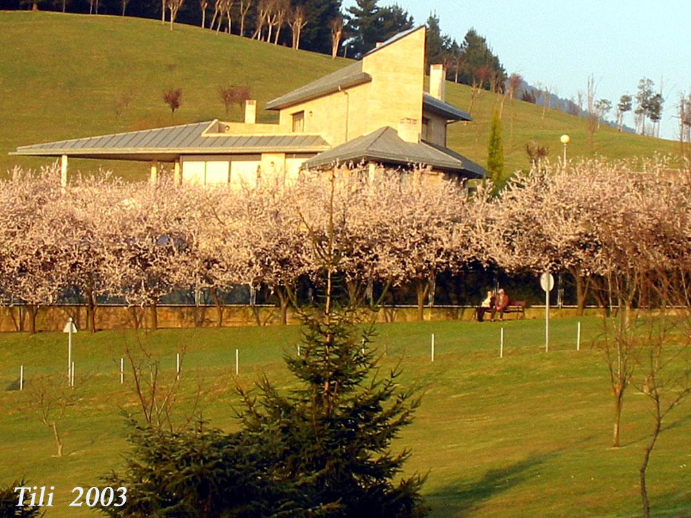 Foto de Oviedo (Asturias), España