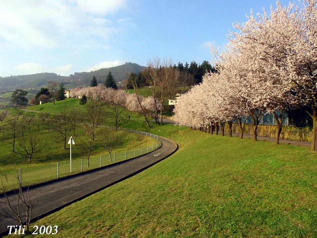 Foto de Oviedo (Asturias), España
