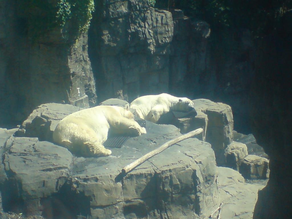 Foto de Manhattan (New York), Estados Unidos