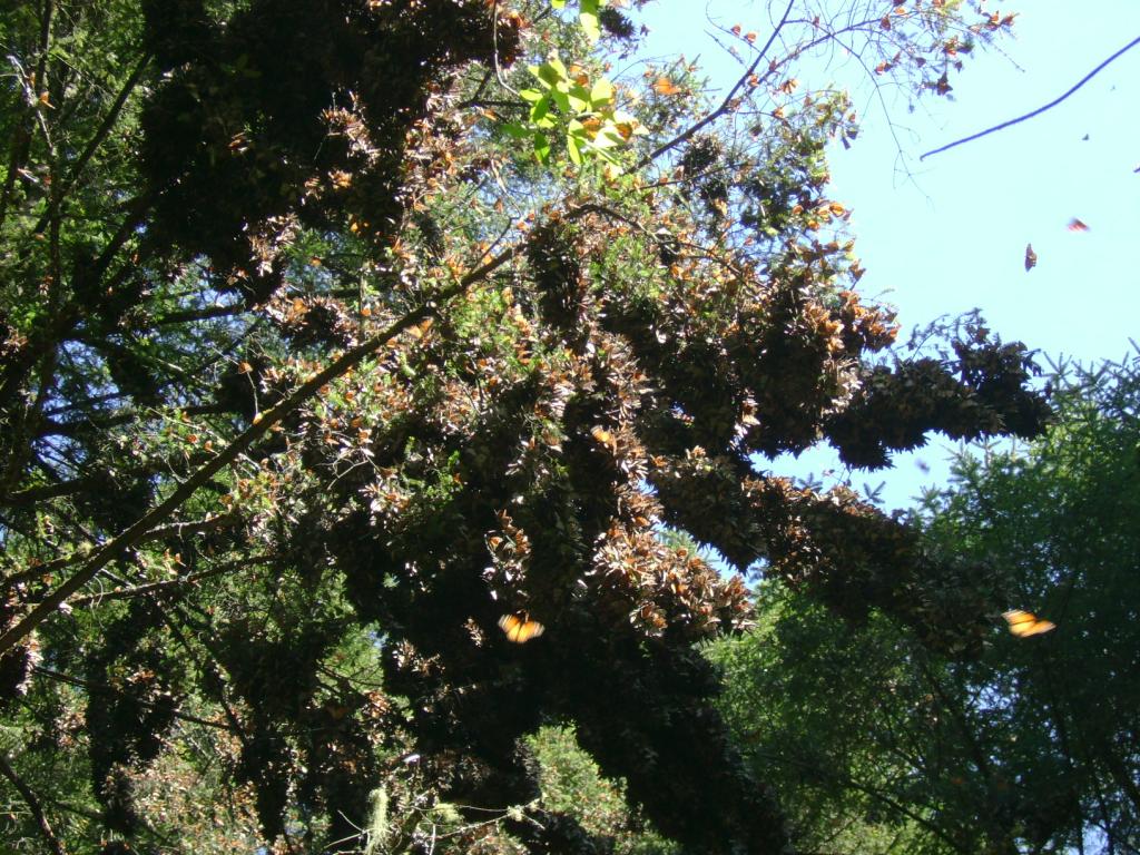 Foto de Valle de Bravo, México