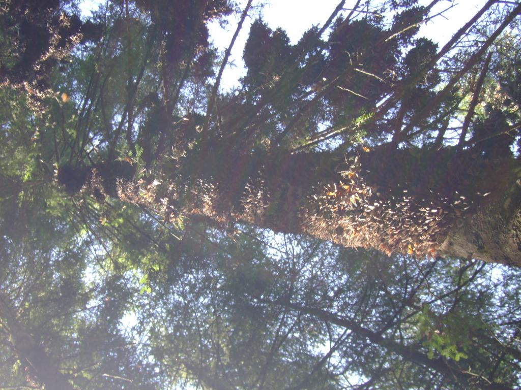 Foto de Valle de Bravo, México