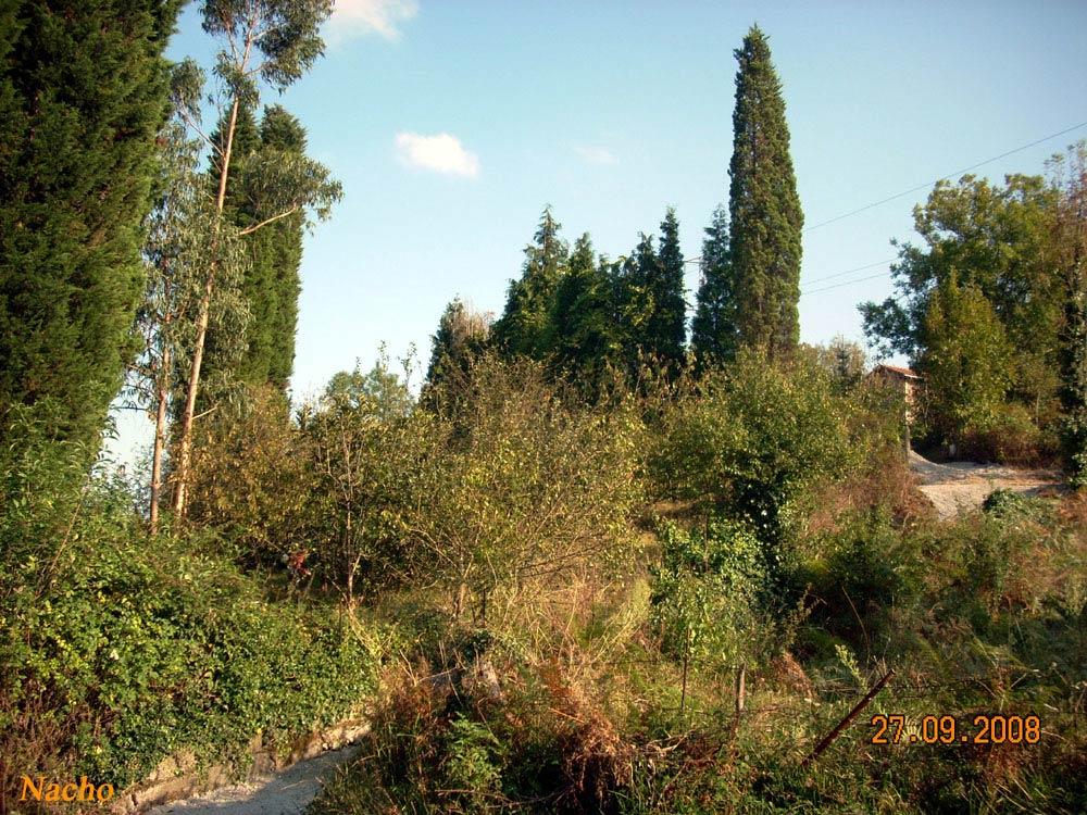Foto de Figarines (Asturias), España