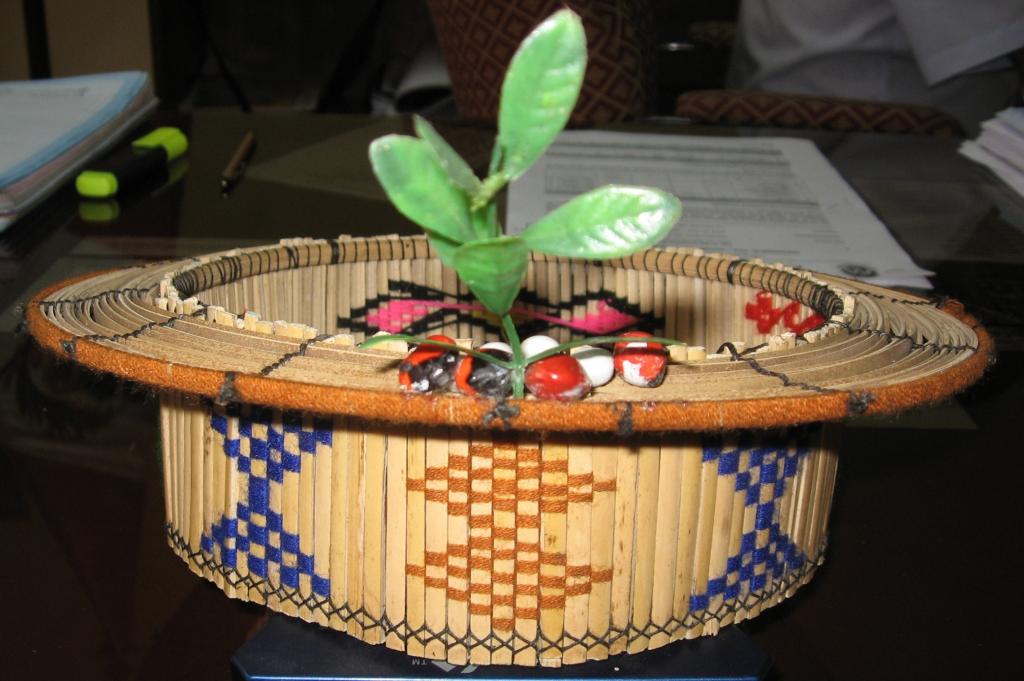 Foto de Chanchamayo, Perú