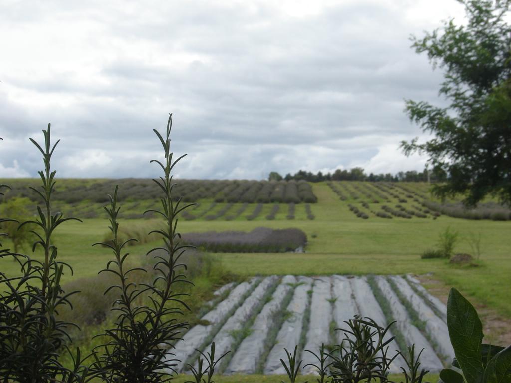 Foto de Cordoba, Argentina