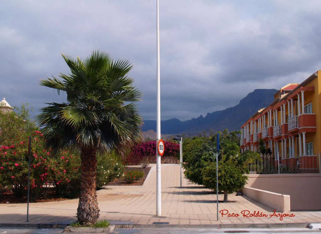 Foto de Los Cristianos (Arona) (Santa Cruz de Tenerife), España