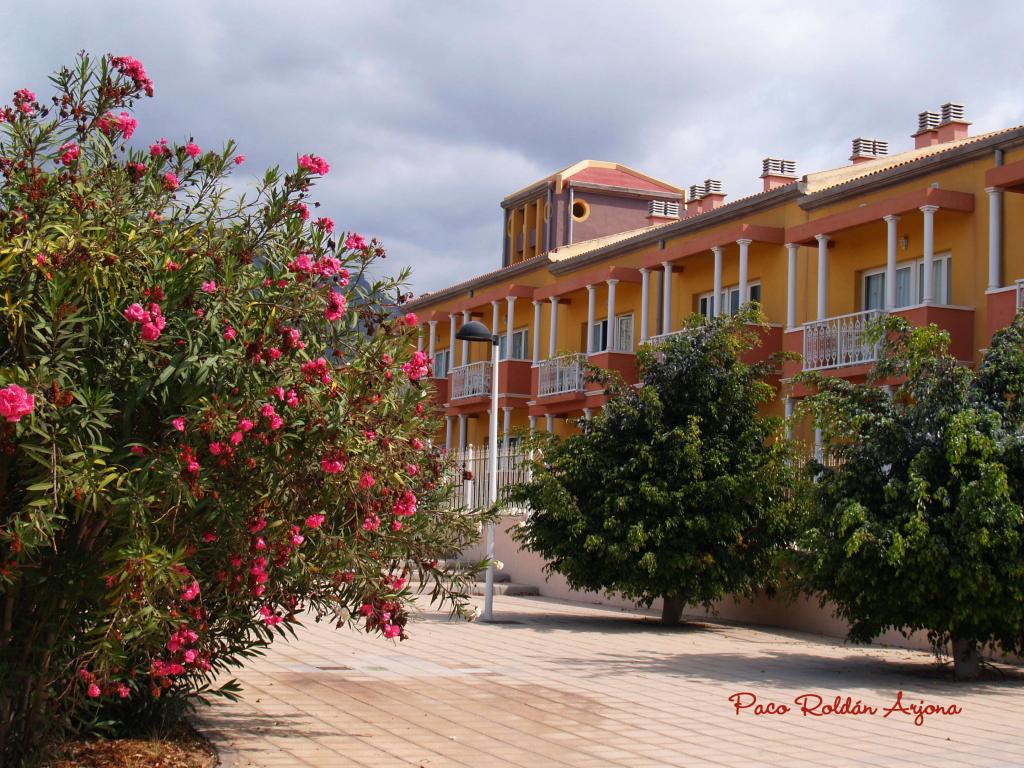 Foto de Los cristianos (Arona) (Santa Cruz de Tenerife), España