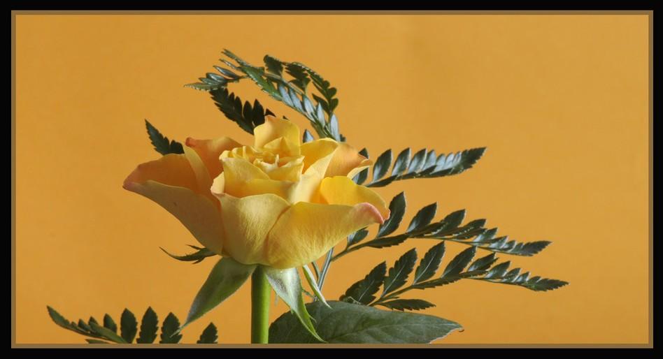 Foto de Barcelona (Cataluña), España