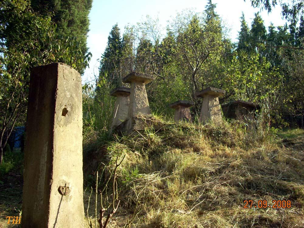 Foto de Figarines (Asturias), España