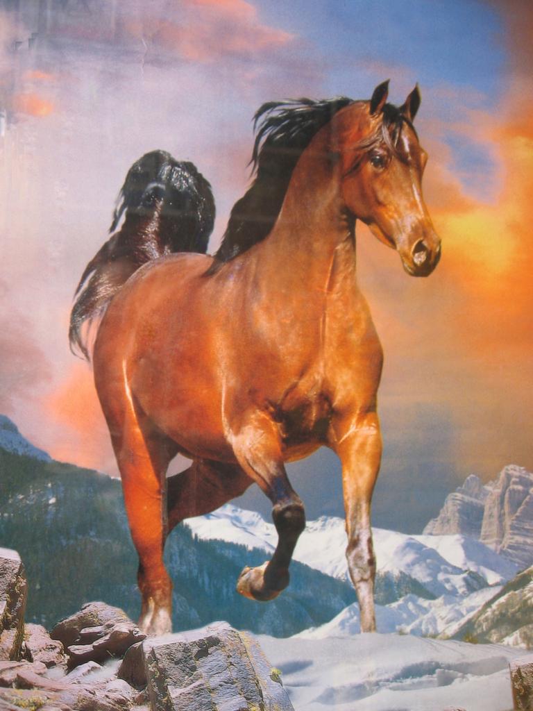 Foto de Chanchamayo, Perú