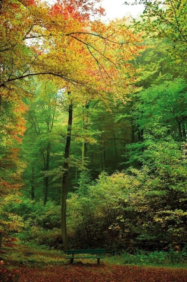 Foto de Montseny (Barcelona), España