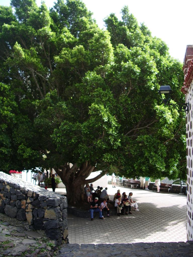 Foto de Masca (Santa Cruz de Tenerife), España